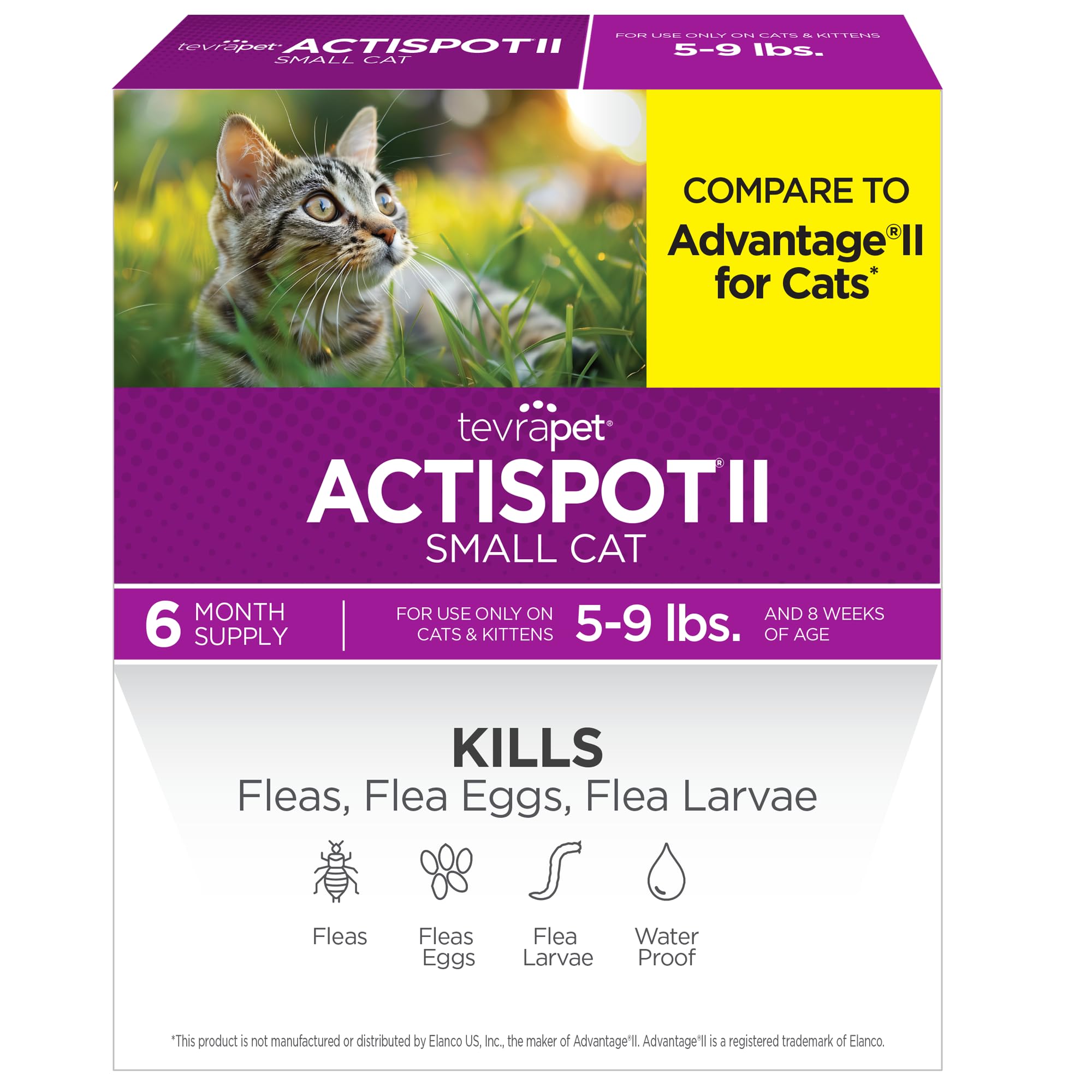 TevraPet front packaging showing six-dose flea treatment benefits