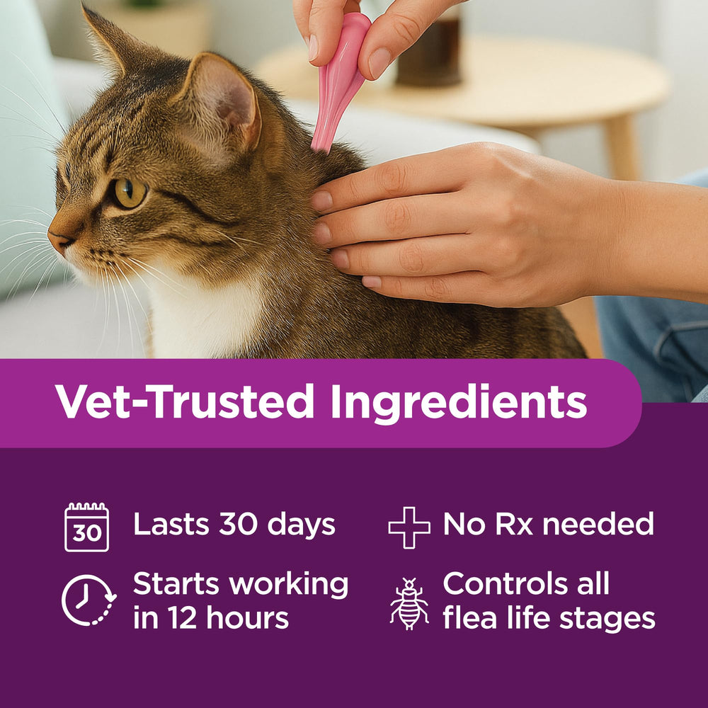 TevraPet proof of waterproof formula shown after light bathing benefit