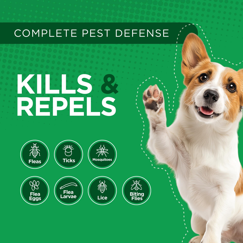 TevraPet Activate II four doses laid out highlighting monthly coverage and convenient packaging