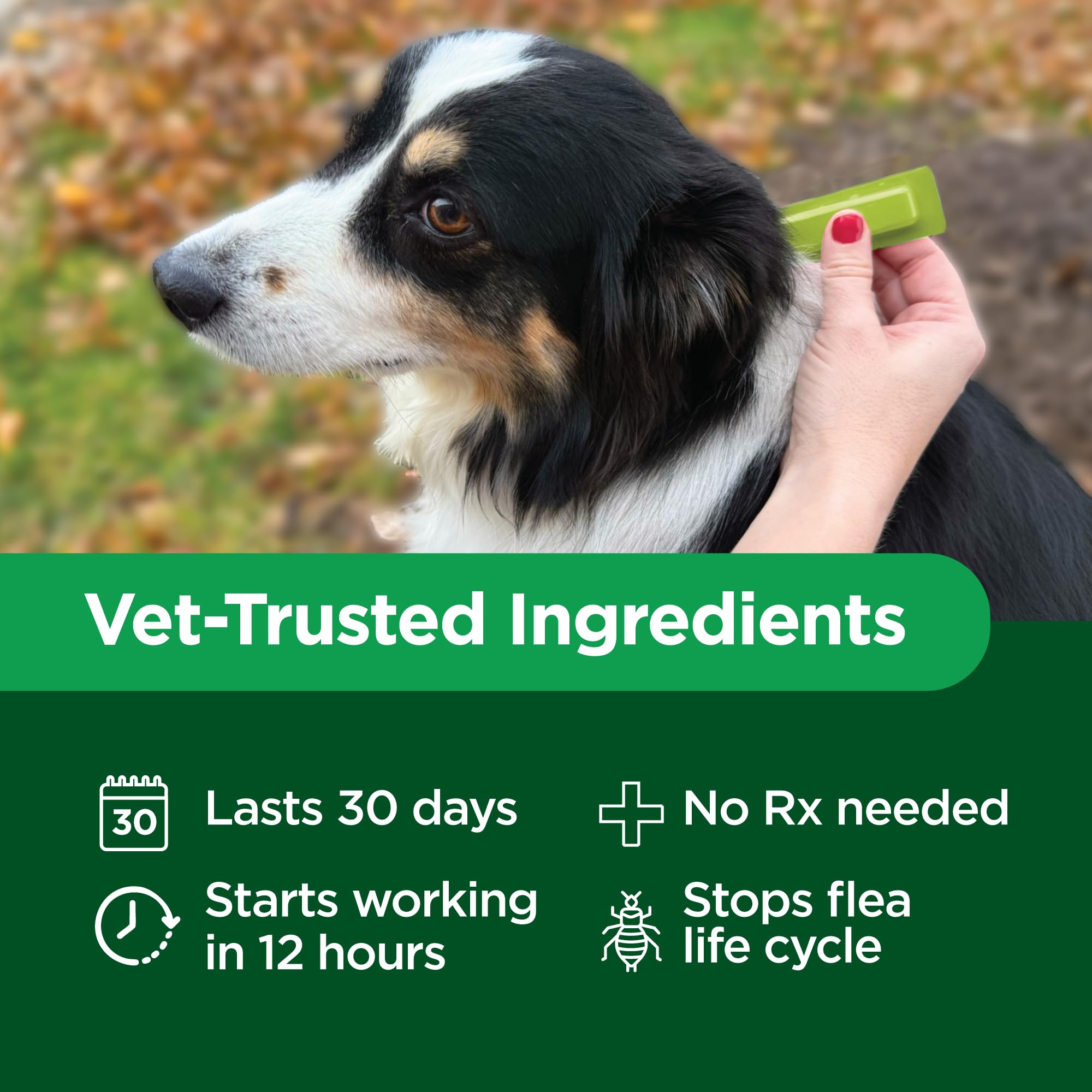 TevraPet Activate II product label details displaying active ingredients and usage instructions