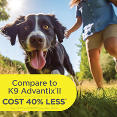 TevraPet Activate II single-dose tube close-up showing precise pre-measured applicator for safety