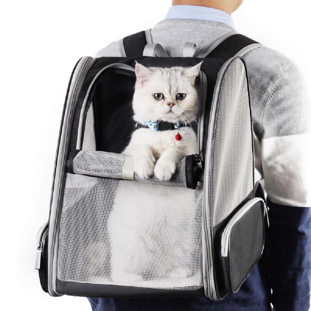 Texsens backpack worn by commuter demonstrating hands-free travel comfort