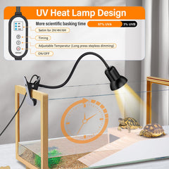 TFNN dual 50W and 75W vacuum glass bulbs demonstrating durable long-life lighting benefit