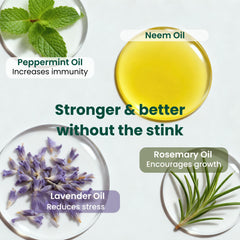 The Green Alcove essential oils set included to improve aroma and emulsification