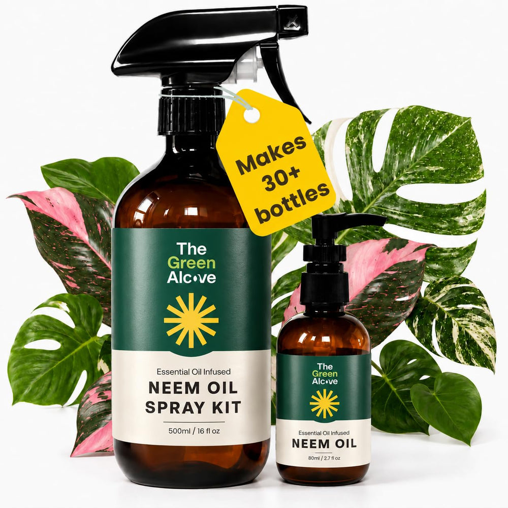 The Green Alcove front packaging showing concentrate and benefits