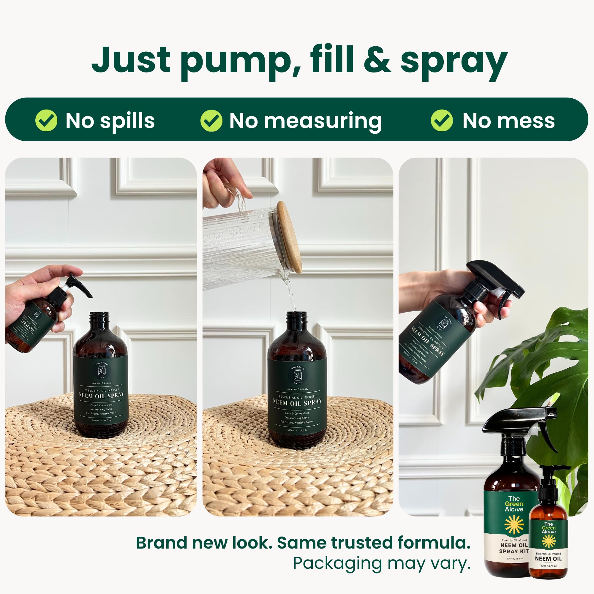The Green Alcove gardener applying spray to houseplants for quick maintenance