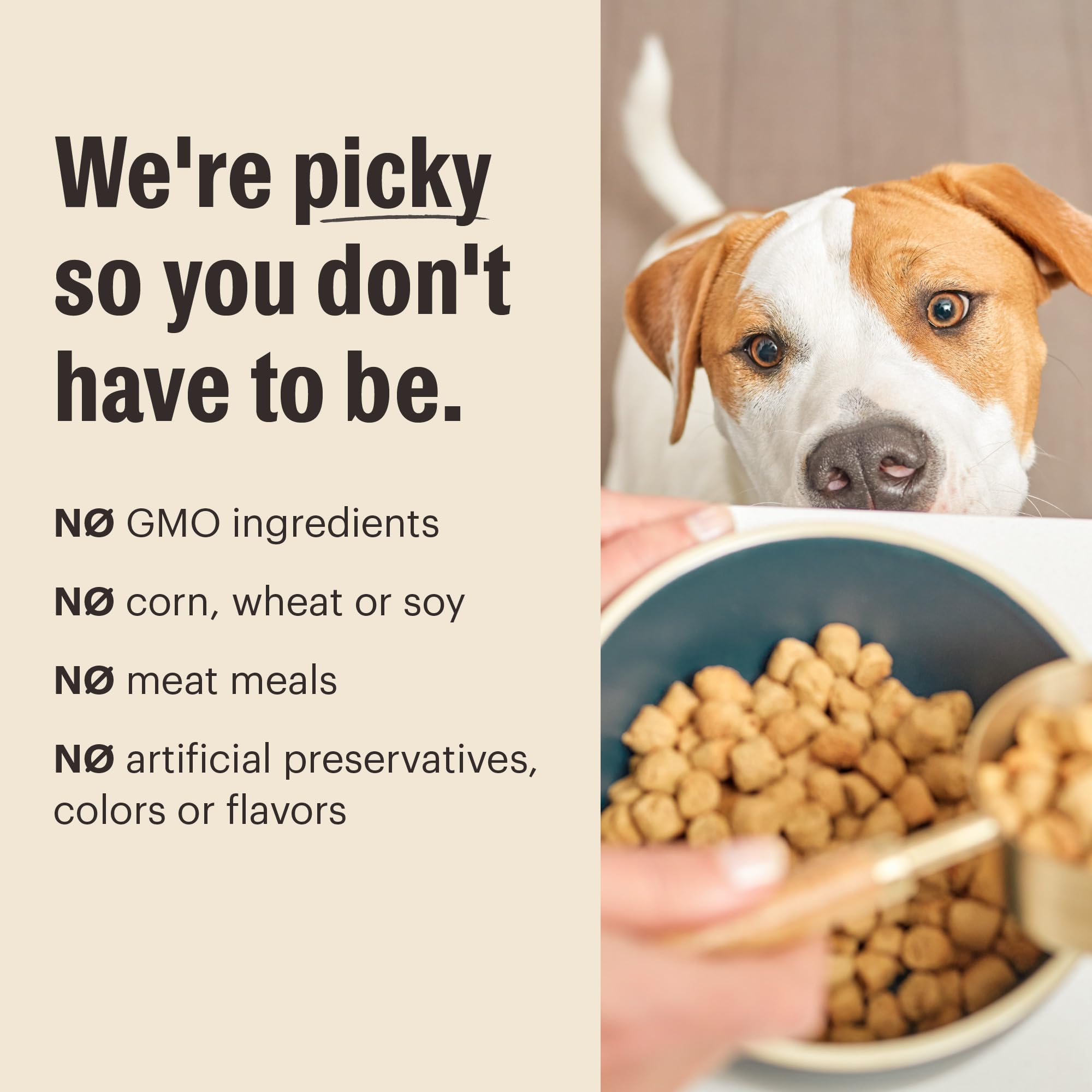 The Honest Kitchen clusters used as topper on wet food enhancing flavor and nutrition