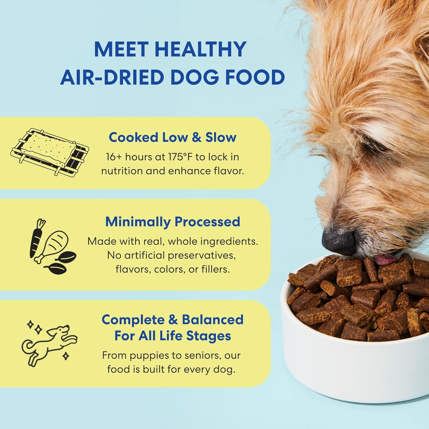 The Pets Table close-up of chicken and sweet potato ingredients for flavor