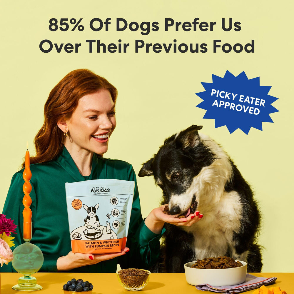 The Pets Table dog eating from bowl showing palatability and enjoyment