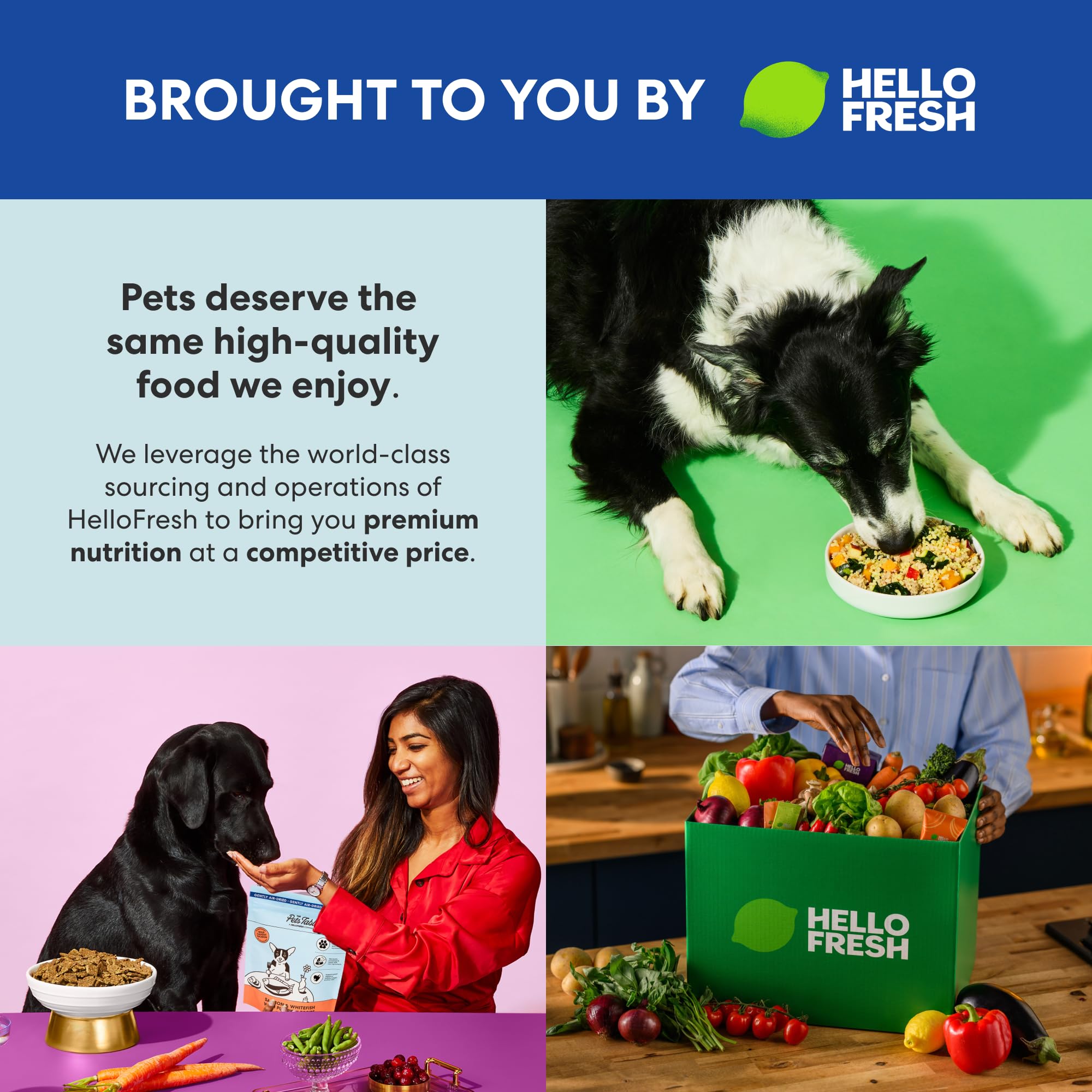 The Pets Table handful portion demonstrating easy serving for owners