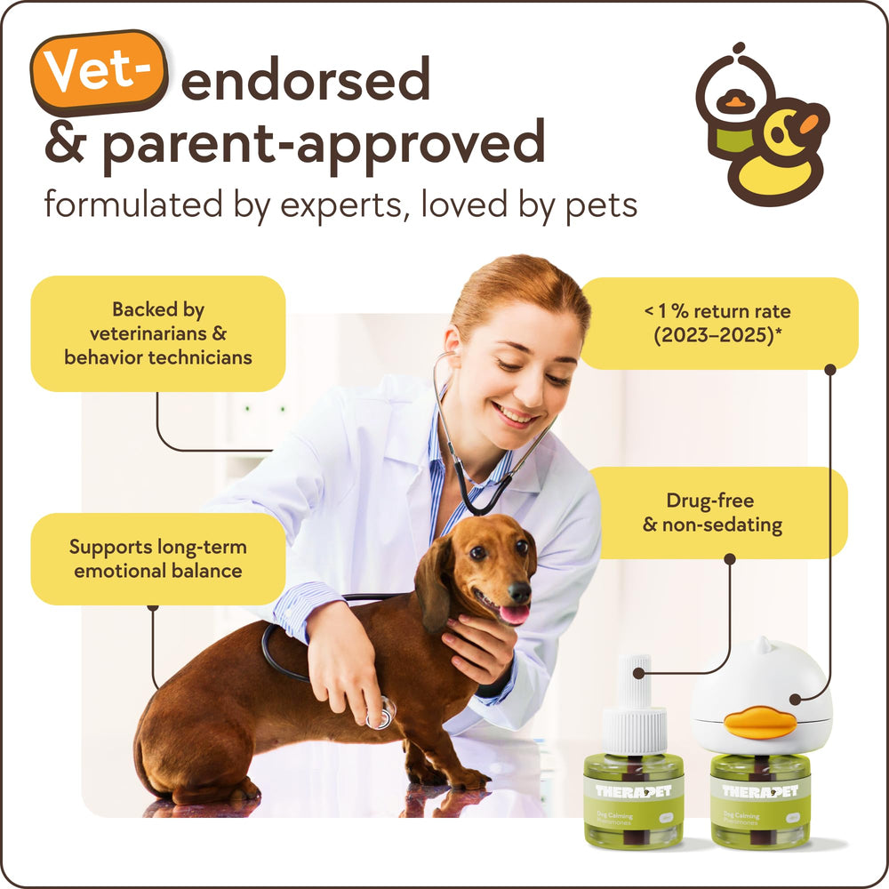 TheraPetMD happy dog in calm home illustrating reduced anxiety behaviors