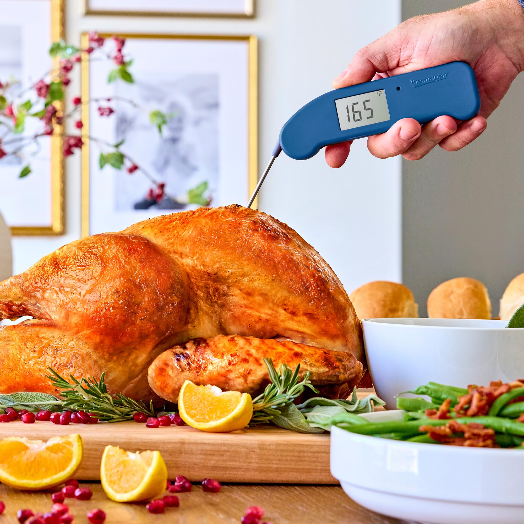 ThermoWorks Thermapen ONE rotated display demonstrating motion-sensing visibility