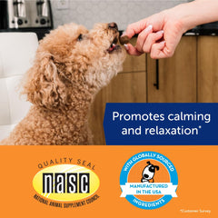 Dog happily eating a ThunderBites chew for calmer behavior