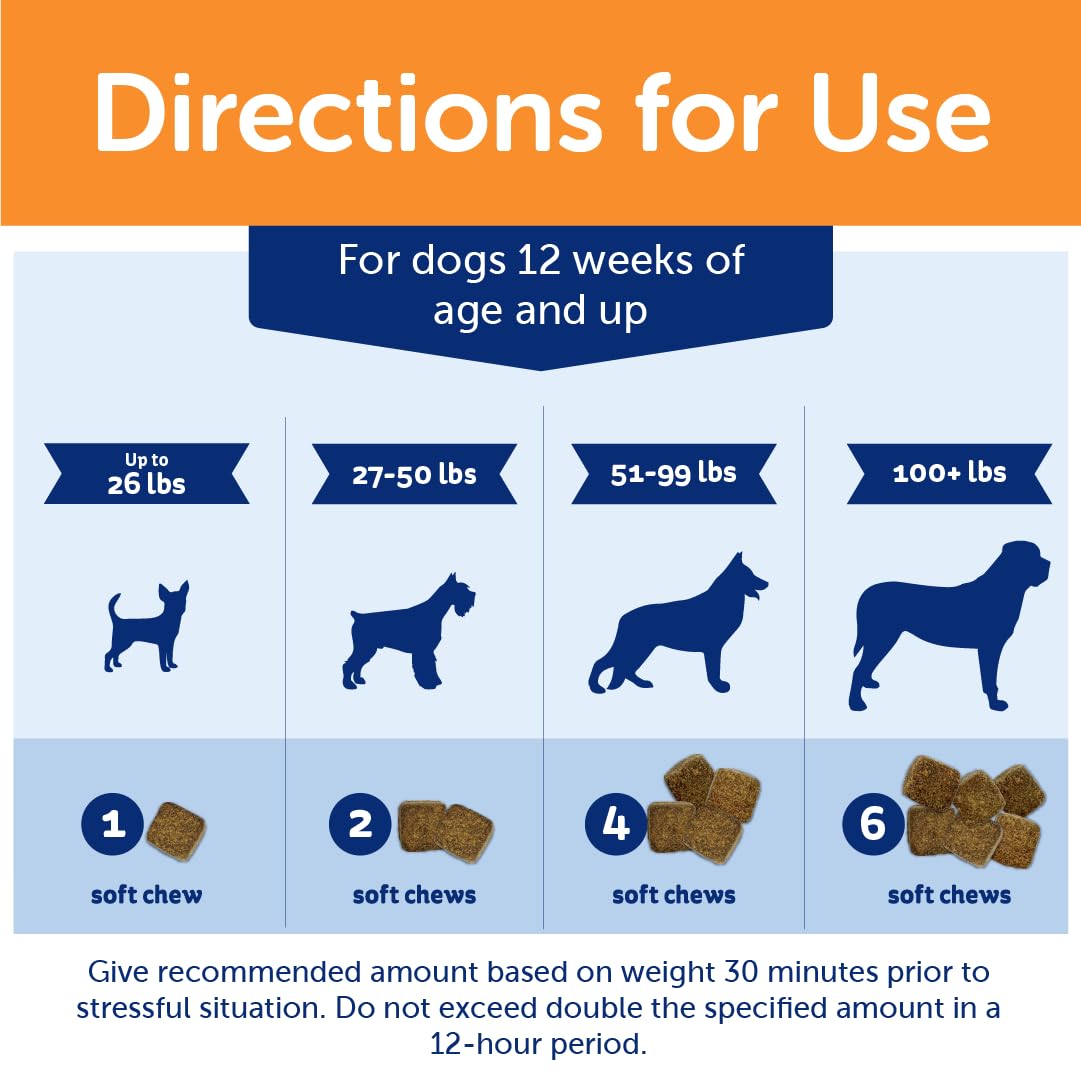 ThunderBites in-use with dog accepting a chew promoting relaxed behavior