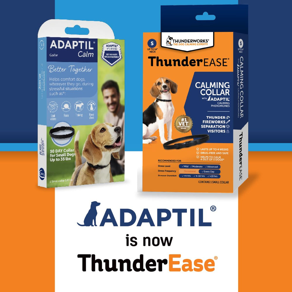 ThunderEase collar worn by a small dog during crate training, reduces stress