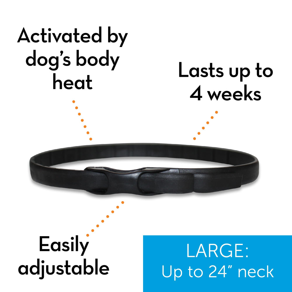 Dog resting calmly at home with ThunderEase collar showing comfort benefit