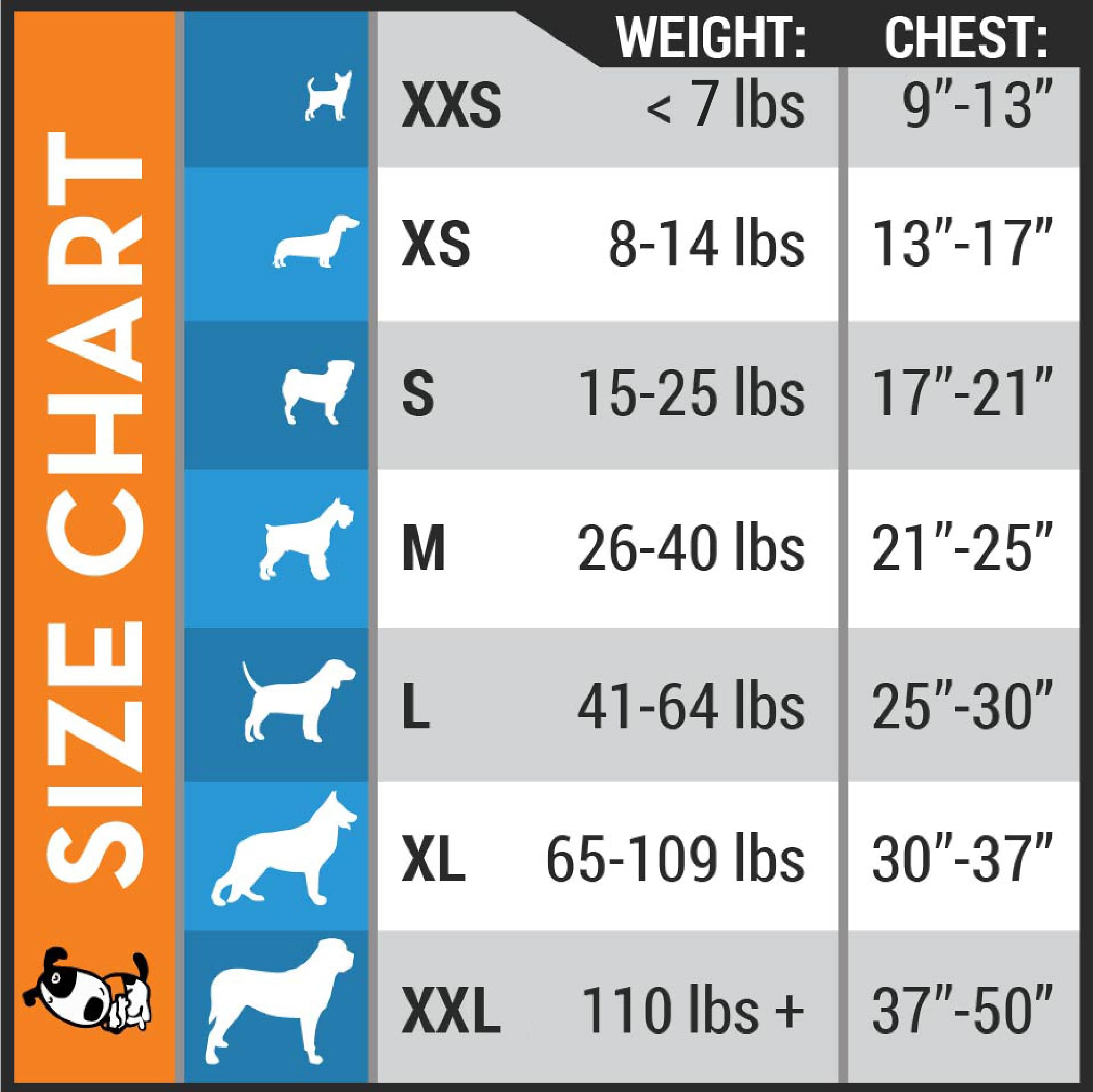 Thundershirt on small dog in park illustrating reduced stress during walks with Thundershirt