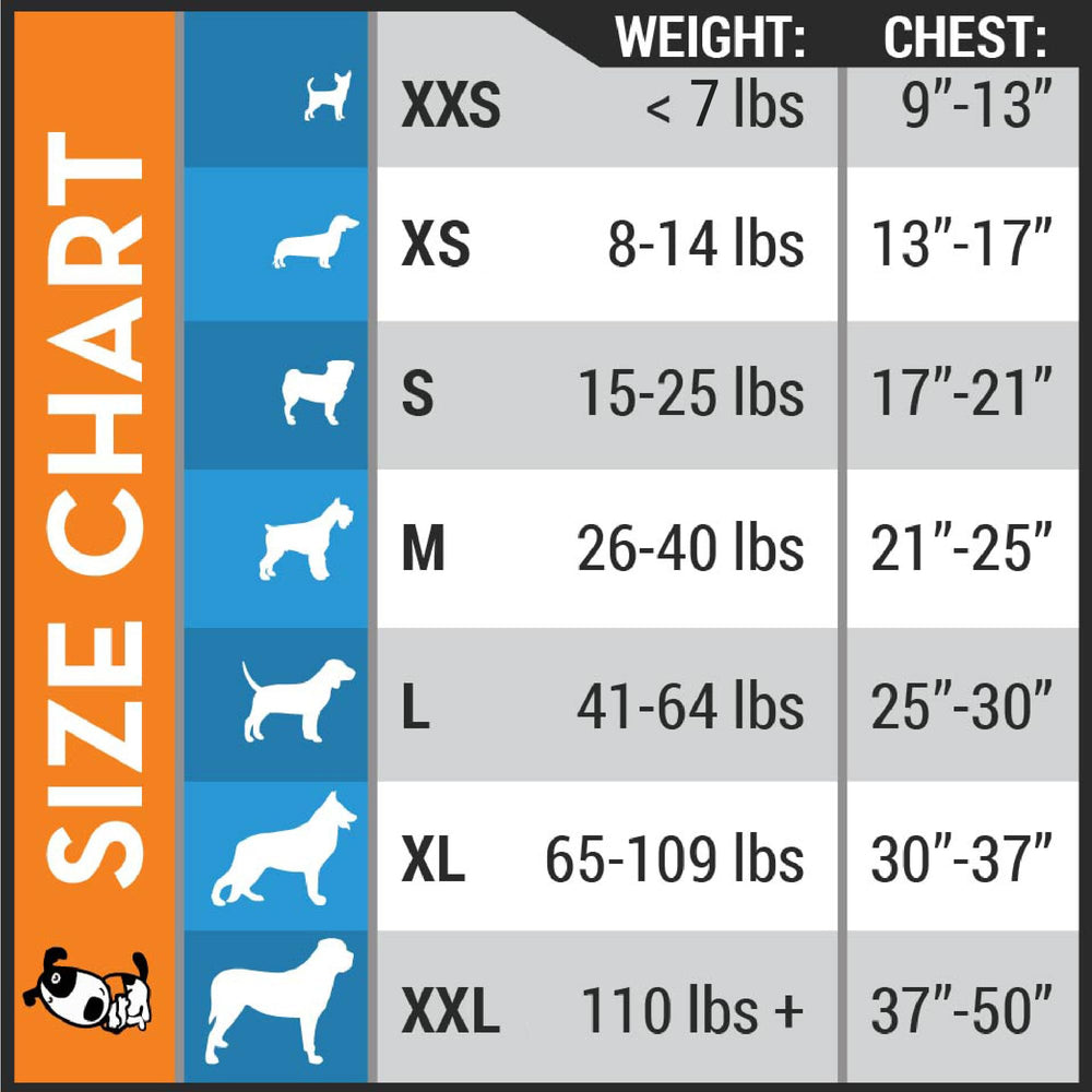 Thundershirt on small dog in park illustrating reduced stress during walks with Thundershirt
