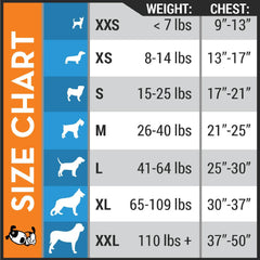 Thundershirt on small dog in park illustrating reduced stress during walks with Thundershirt