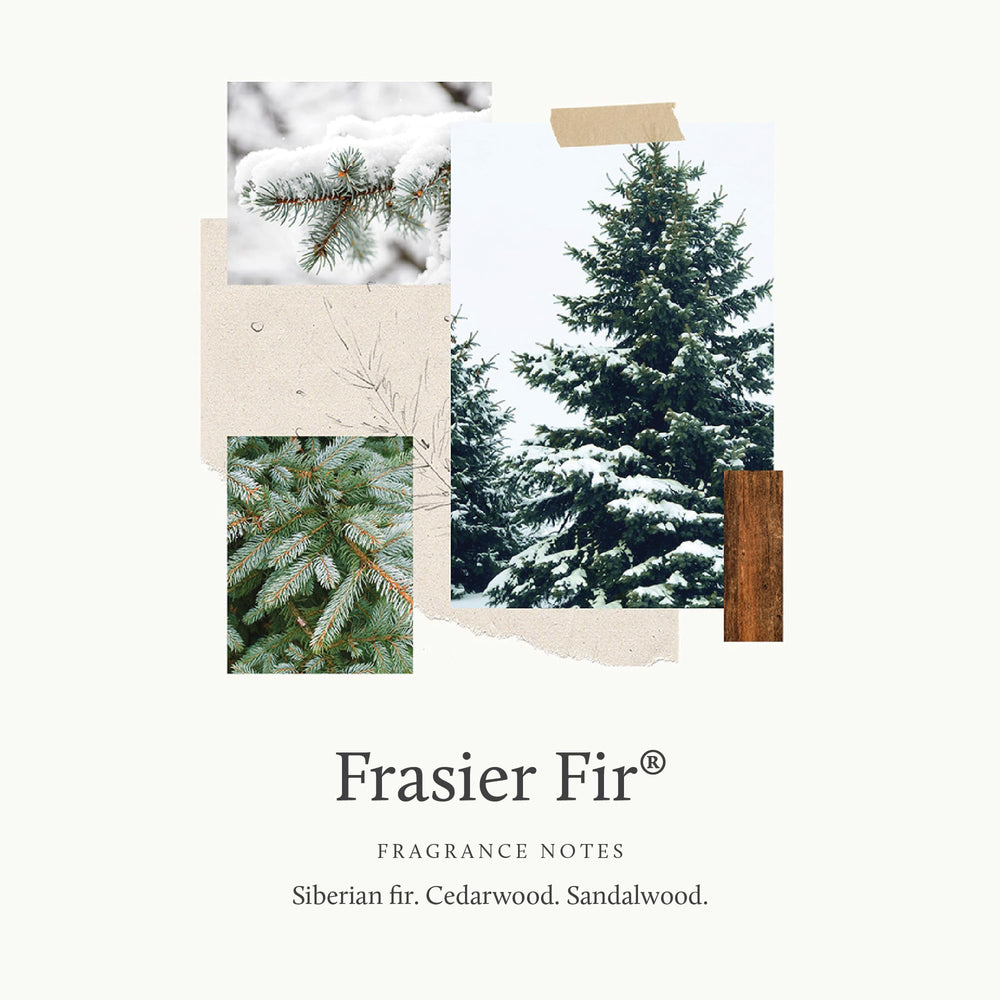 Thymes Frasier Fir rattan reeds closeup showing absorption for steady fragrance release