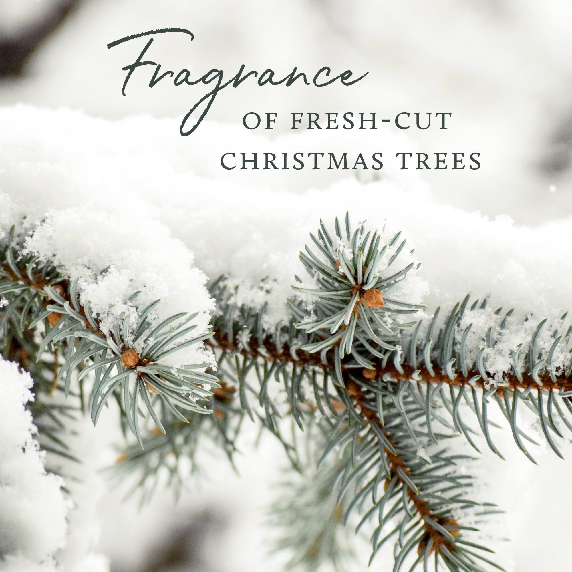 Thymes Frasier Fir size comparison next to candle shows compact, space-saving design