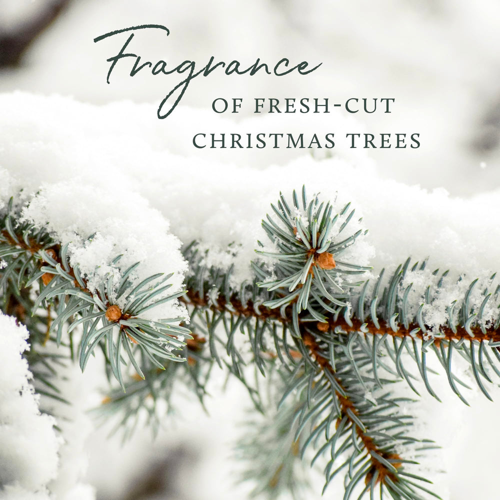 Thymes Frasier Fir size comparison next to candle shows compact, space-saving design