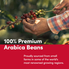 Close-up of Tim Hortons roasted Arabica beans texture, highlighting consistent roast quality