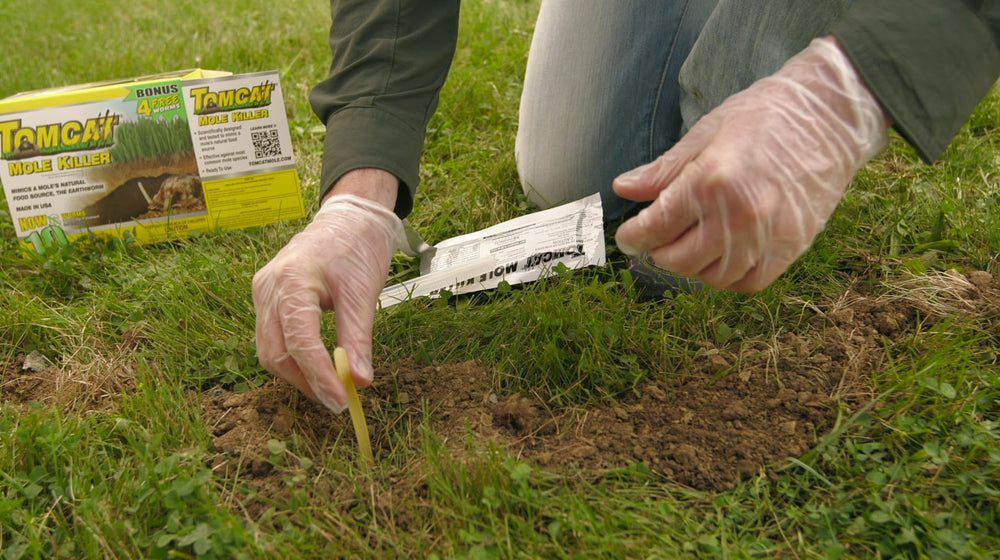 Tomcat close-up of worm bait texture mimicking earthworms to attract moles effectively