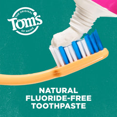 Tom's of Maine paste texture close-up highlights gentle polishing action