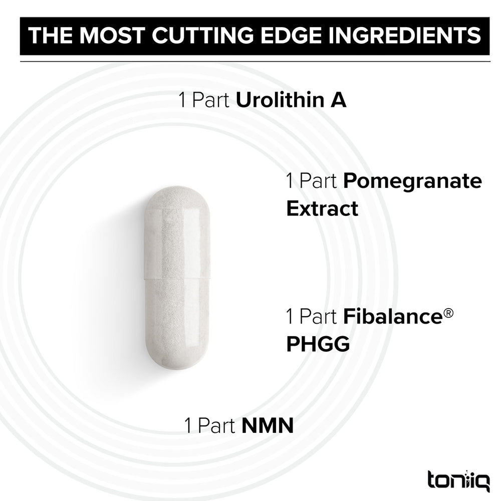 Toniiq next to a ruler showing serving size and real-world scale