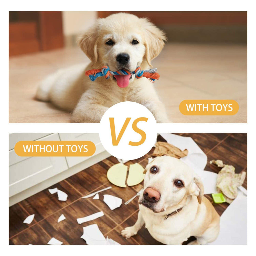 Toozey toy next to human hand showing compact size for small dogs