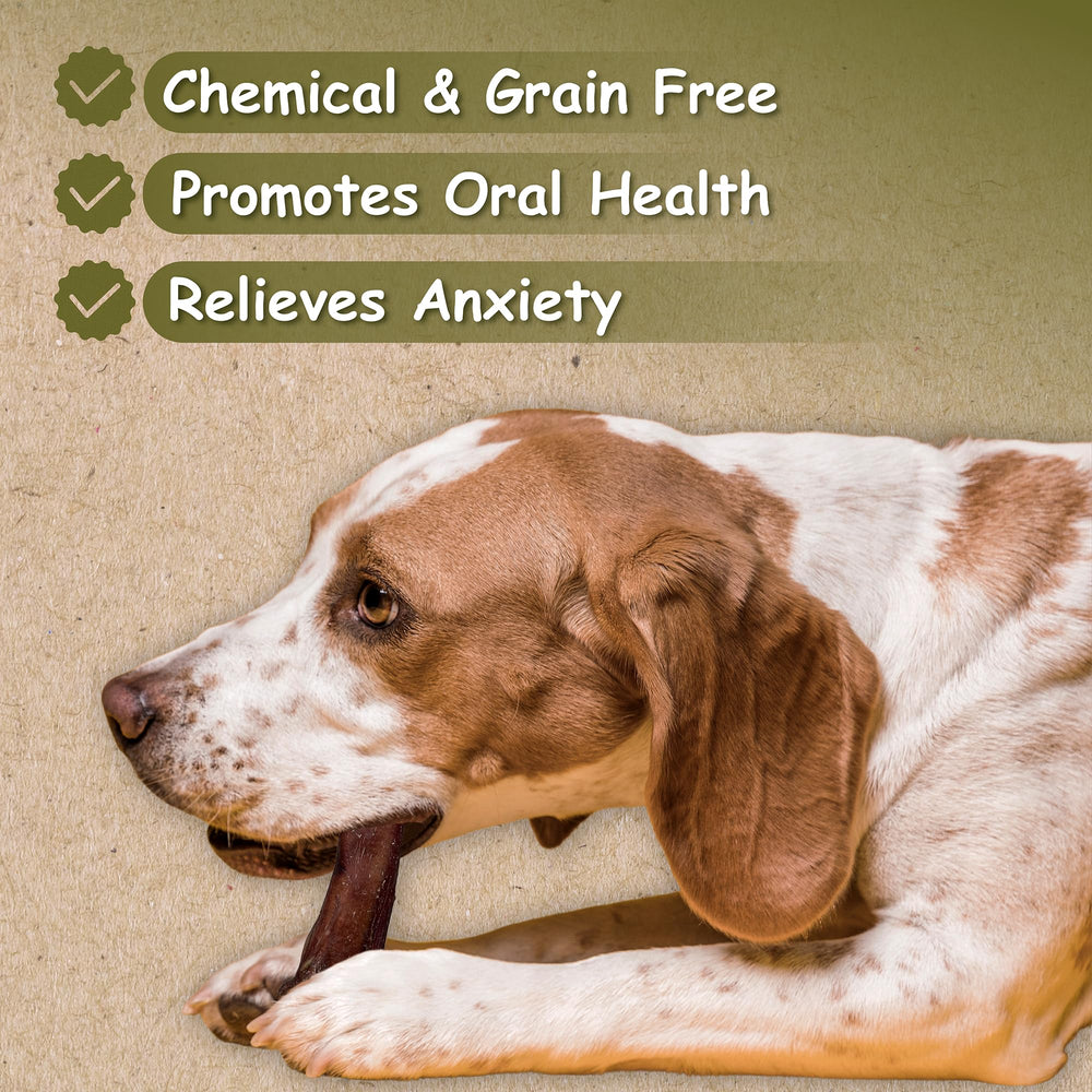 Top Dog Chews sticks spread on table showing natural chew variety