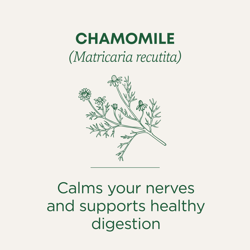 Traditional Medicinals loose chamomile flower heads detail conveying aromatic quality