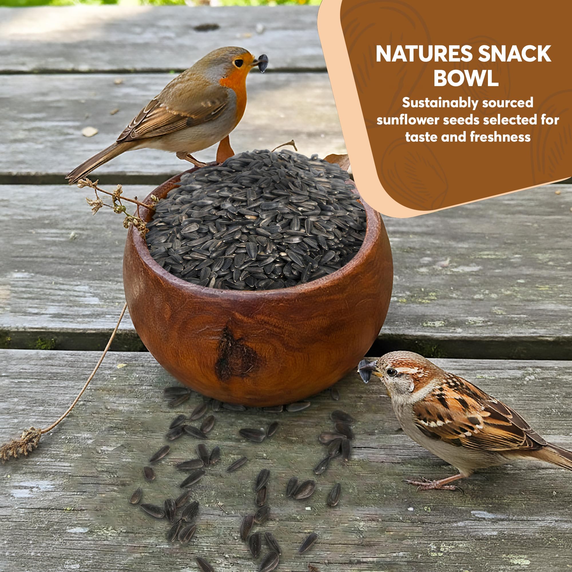 TRAILMARK NATURALS hand scattering seeds to invite ground-feeding birds