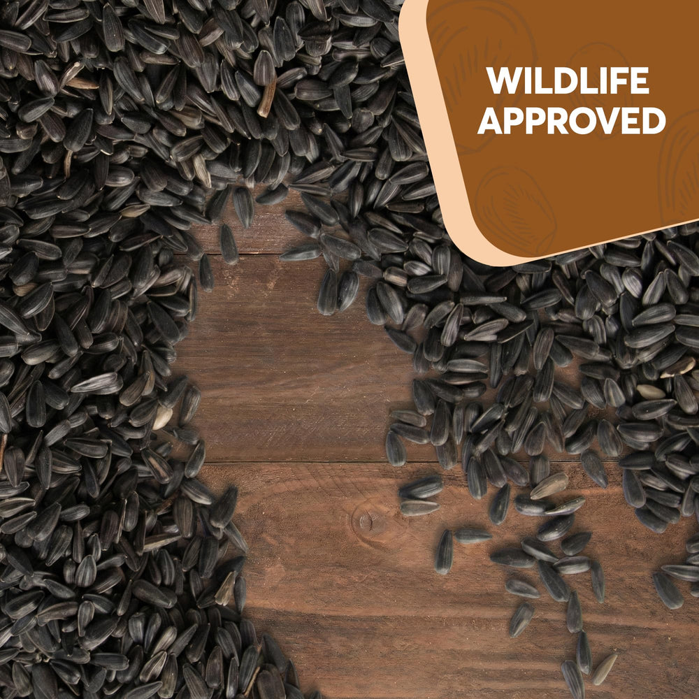 TRAILMARK NATURALS label highlighting grown and packed in the USA benefit