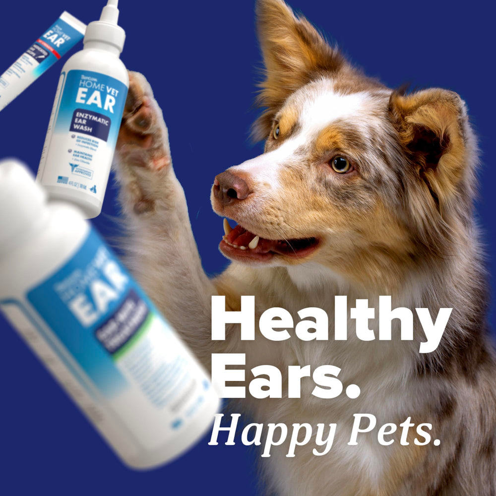 TropiClean HomeVet being applied to a dog ear showing calming effect during care