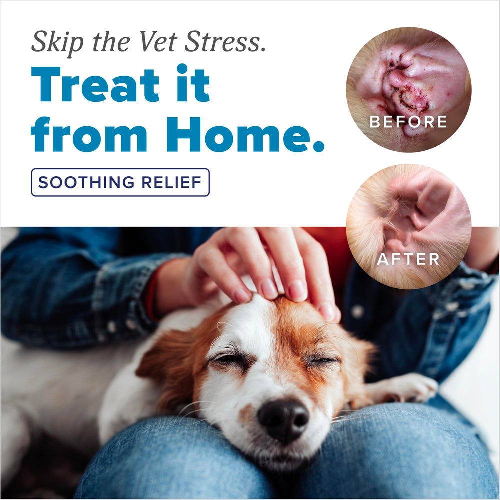 TropiClean HomeVet solution texture in hand illustrating gentle, alcohol-free formula benefit