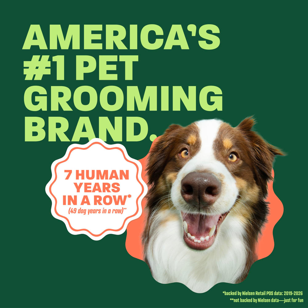 TropiClean producing lather on dog coat to illustrate cleaning and conditioning action