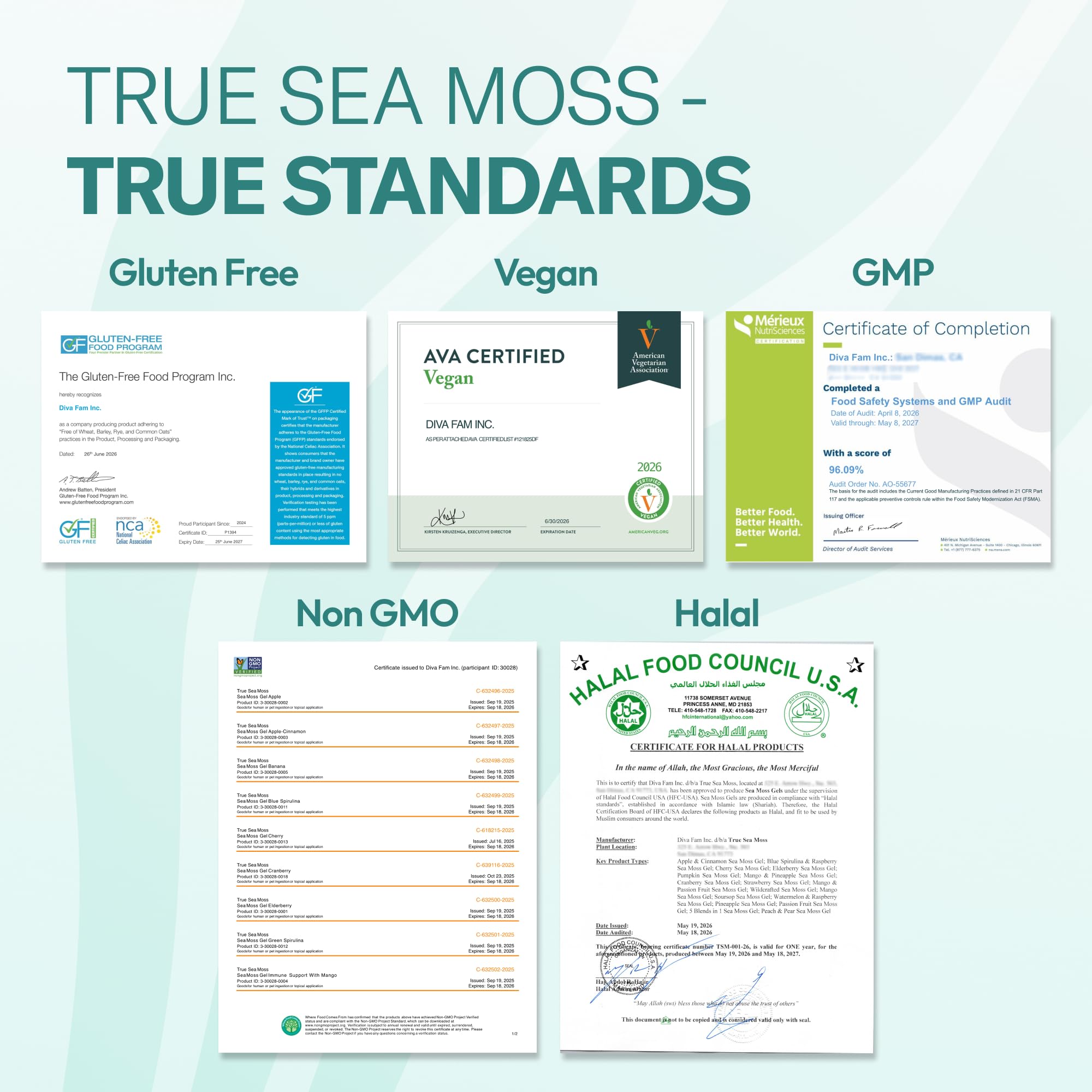 TrueSeaMoss gel texture close-up showing smooth consistency and easy mixing