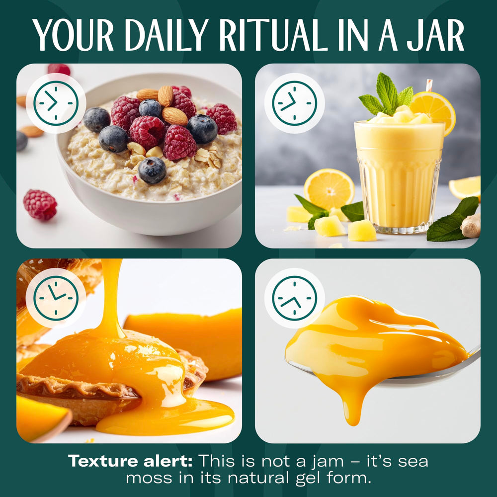 TrueSeaMoss jar on kitchen counter with breakfast showing daily routine fit