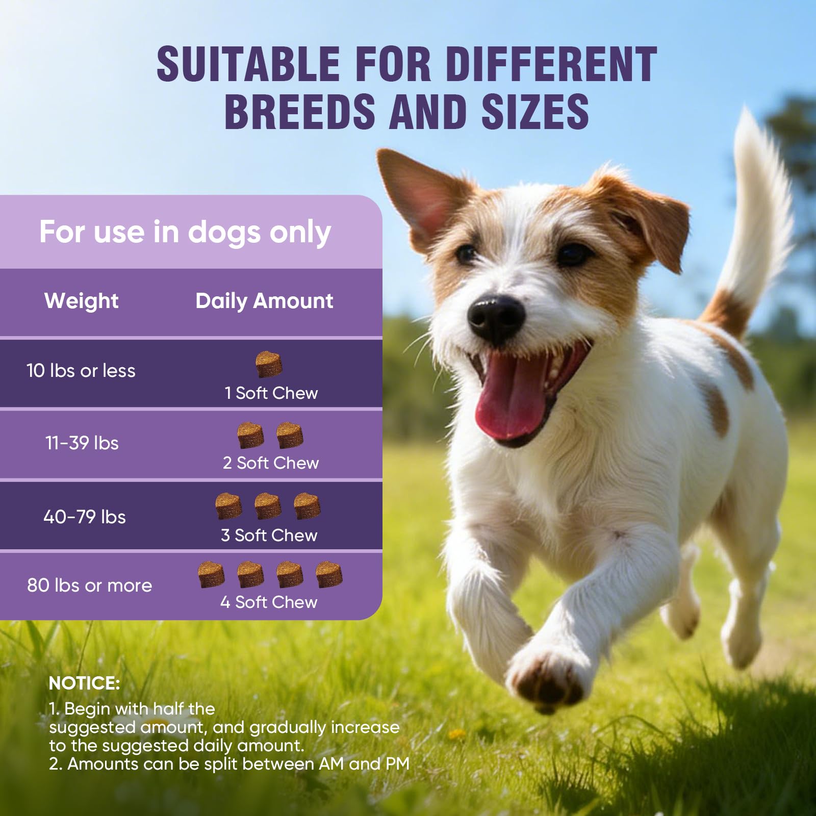 TTLXRL before and after coat comparison showing improved coat vitality