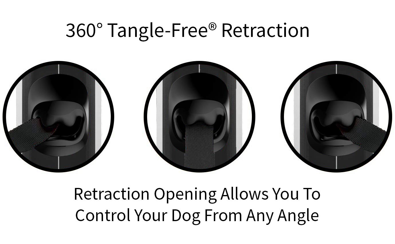 TUG leash in use at park with small dog demonstrating freedom and owner control