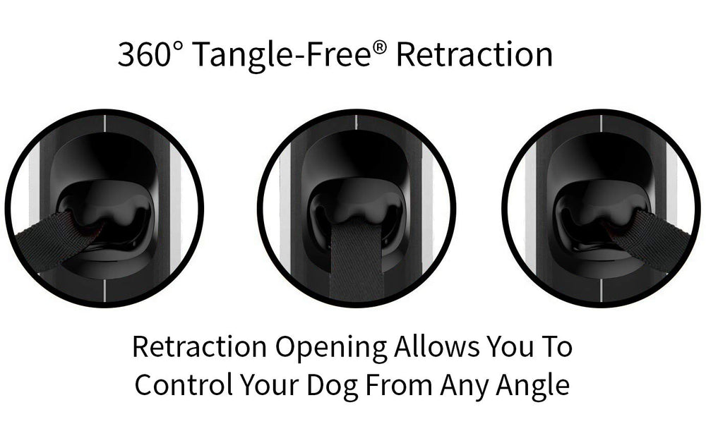 TUG leash in use at park with small dog demonstrating freedom and owner control