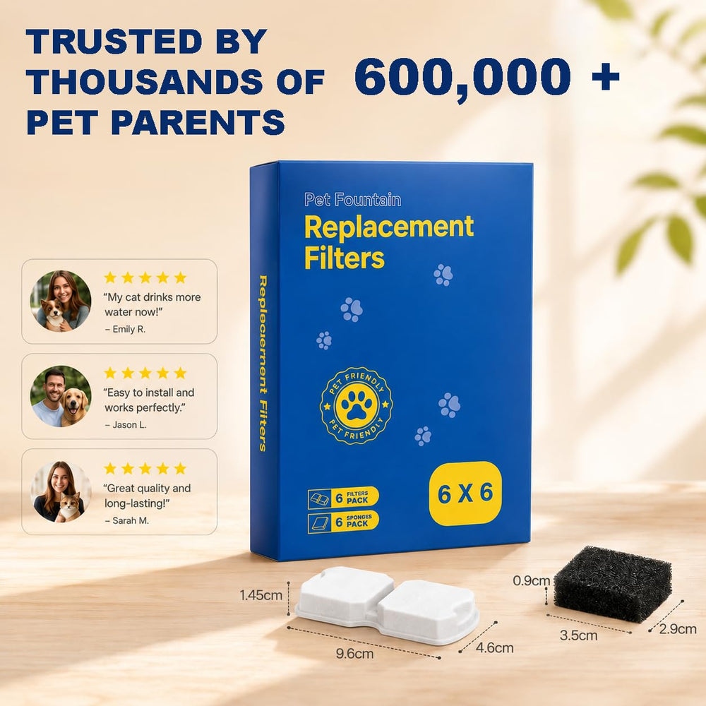 UMOCUOY fountain with cat drinking showing encouraged hydration