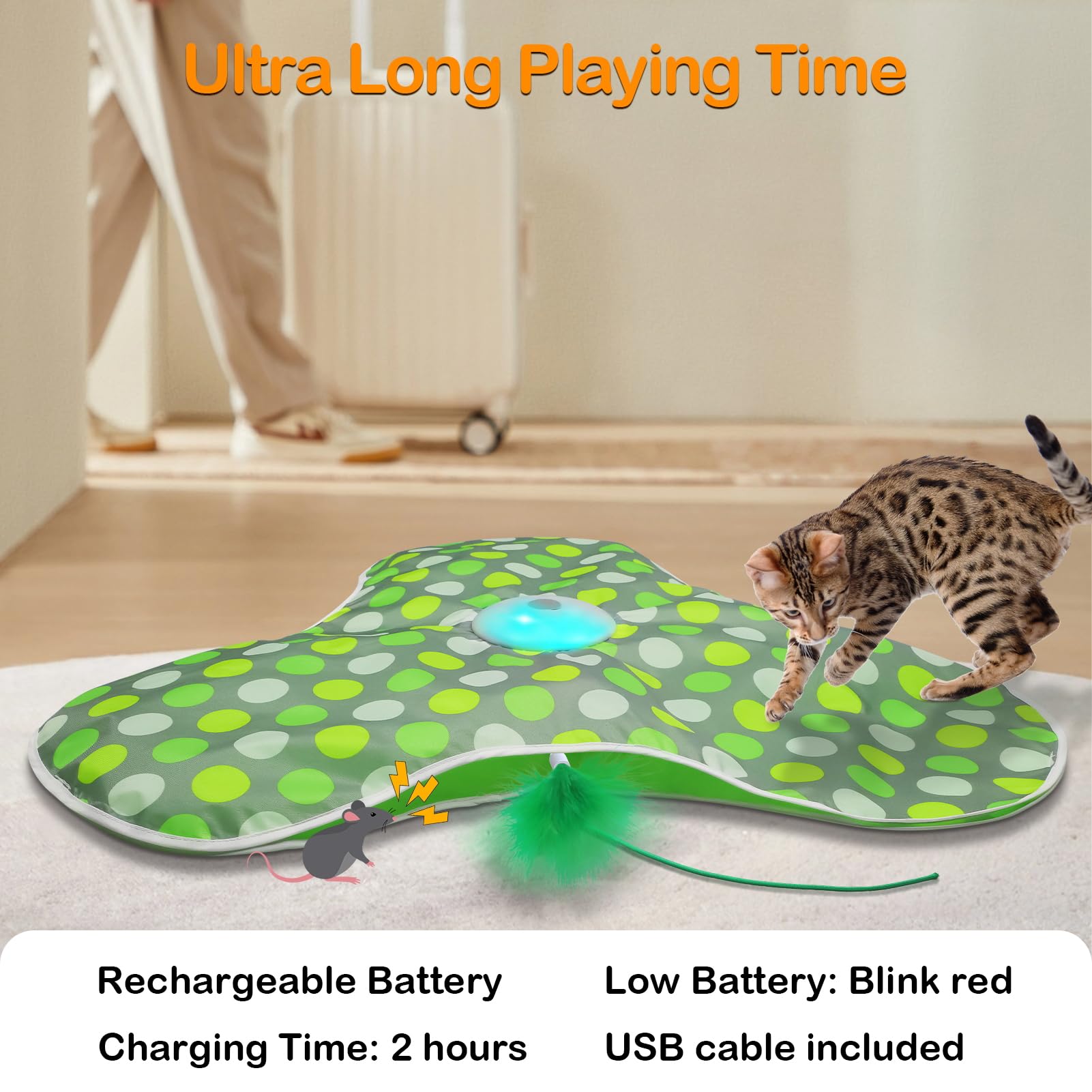 umosis lifestyle image in living room shows independent cat enrichment
