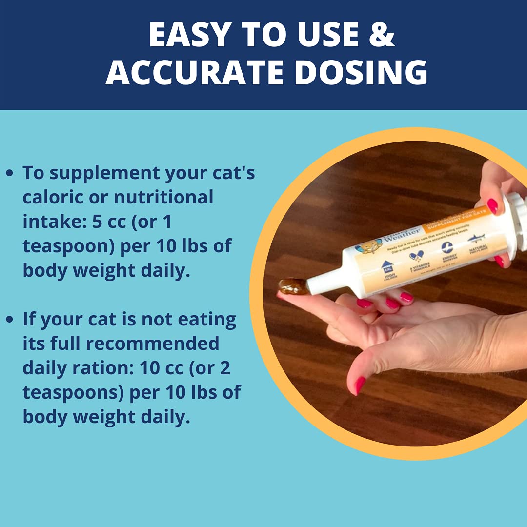 Cat being given Under The Weather Ready Cal gel demonstrating easy administration