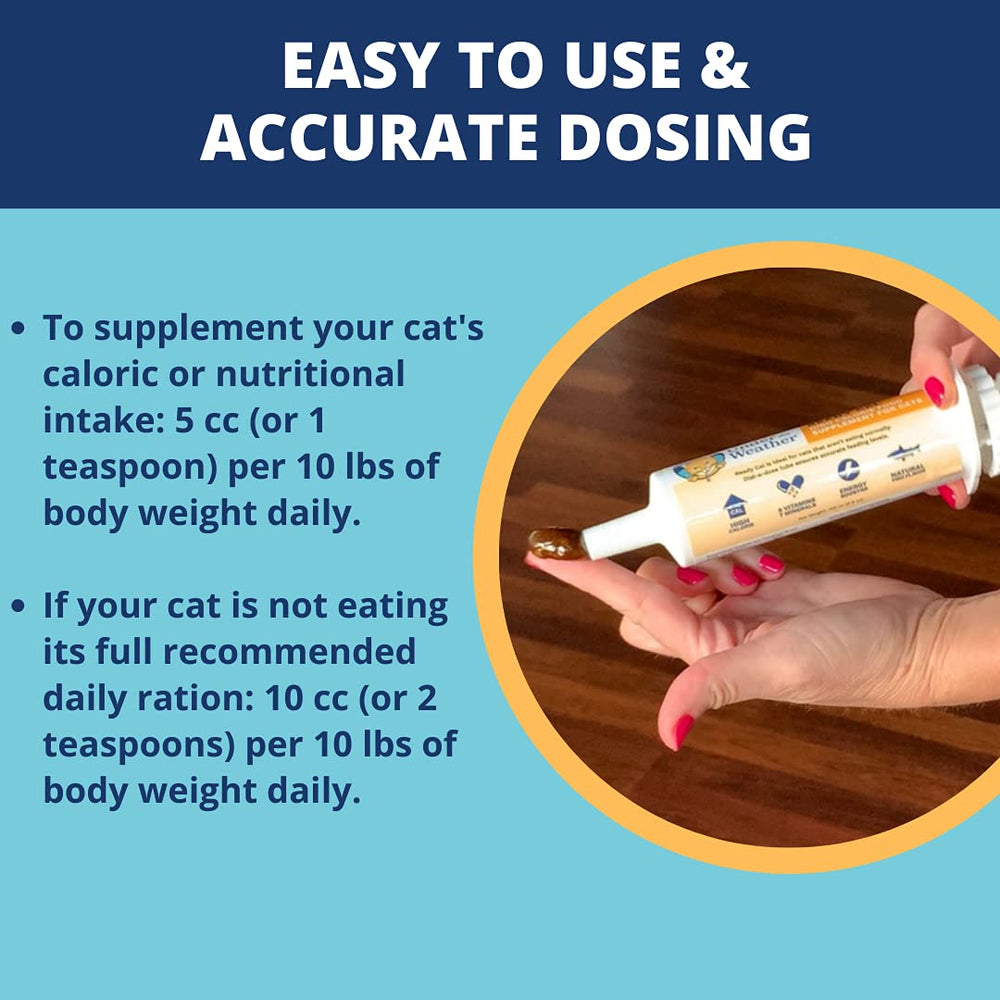Cat being given Under The Weather Ready Cal gel demonstrating easy administration