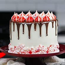Unpretentious used as hot chocolate garnish, adding mint flavor and decorative crunch
