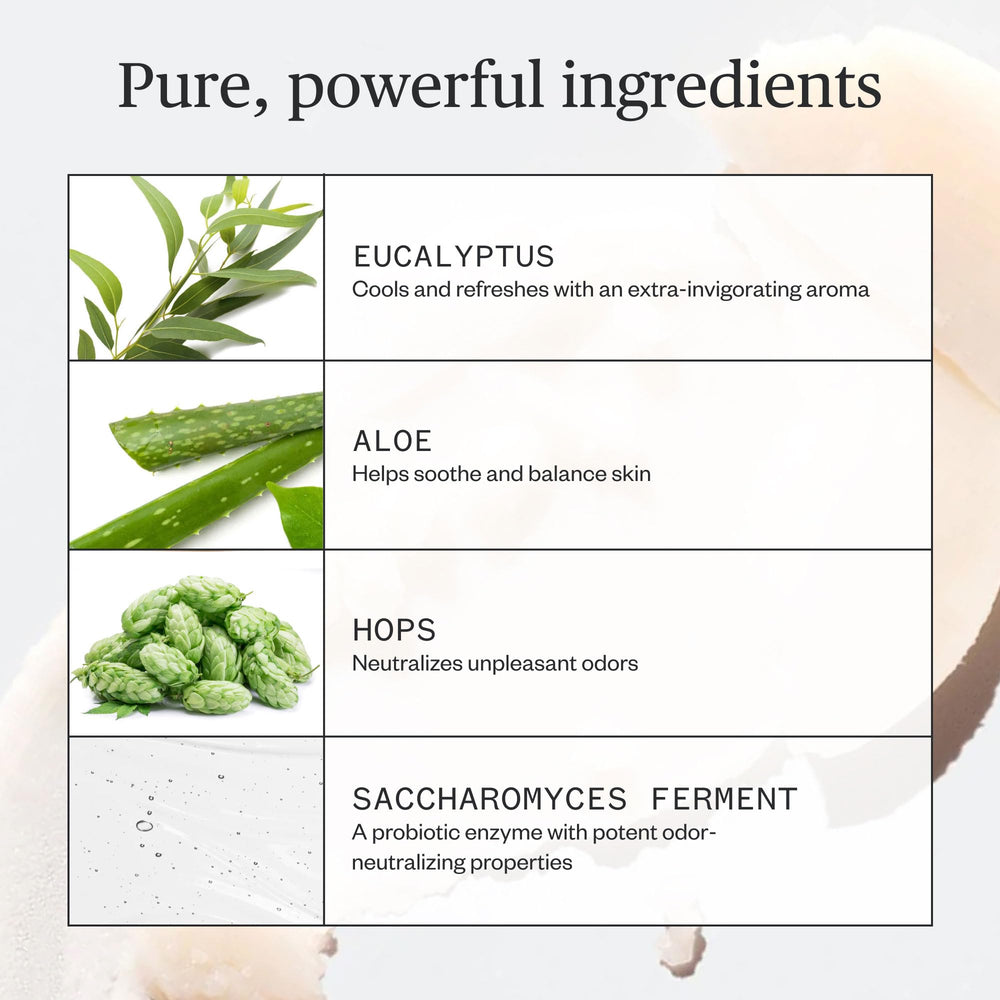 Ursa Major ingredients display featuring baking soda and kaolin clay benefits