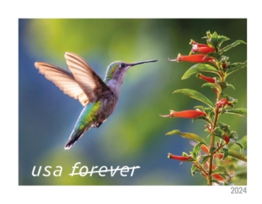 United States Postal Service stamps affixed to an envelope in a home stationery setting for inspiration